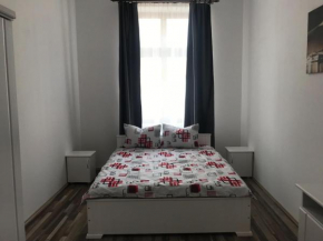 Central City Apartment